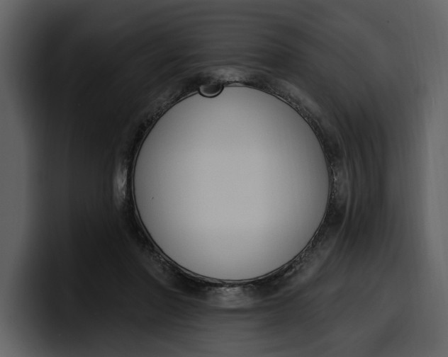 X0000100320406200806191007