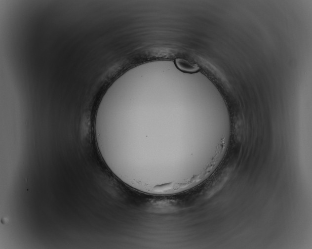 X0000100320407200806191007