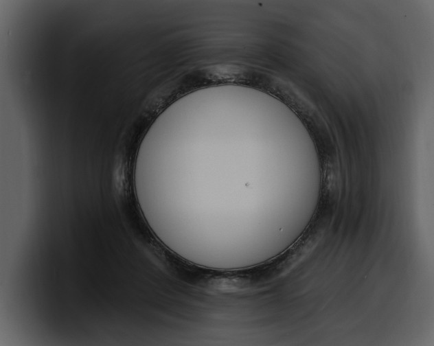 X0000100320408200806191007