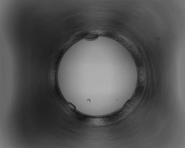 X0000100320409200806191007