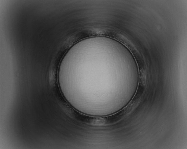 X0000100320410200806191007