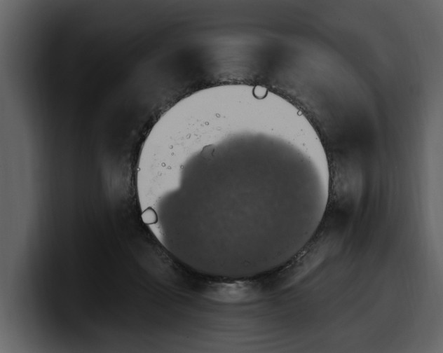 X0000100320411200806191007