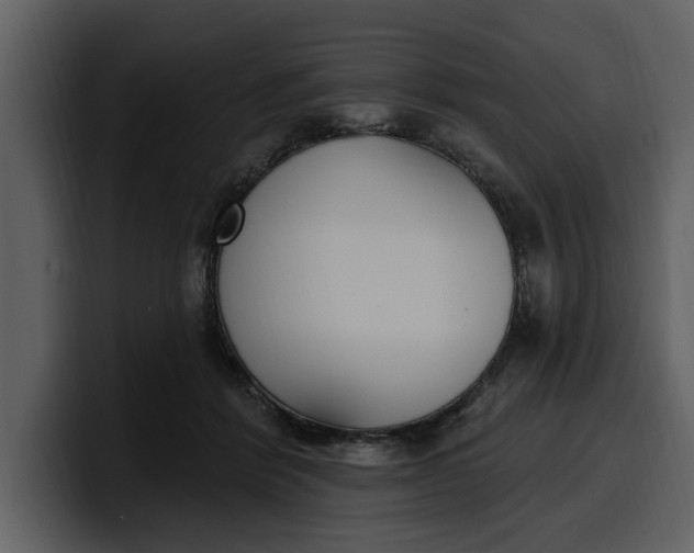 X0000100320412200806191007