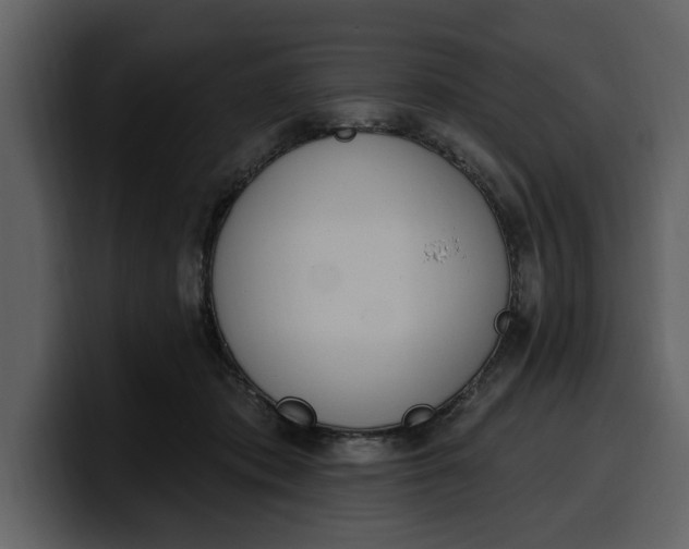 X0000100320413200806191007