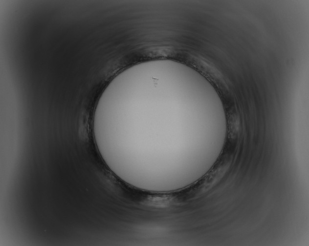 X0000100320414200806191007