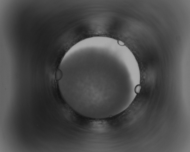 X0000100320415200806191007