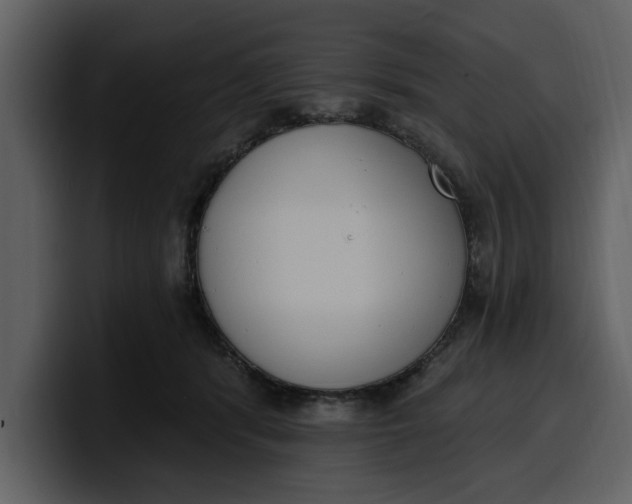 X0000100320416200806191007