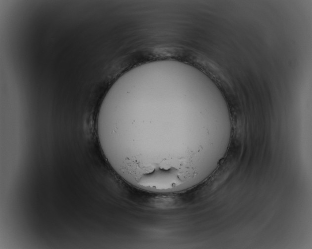 X0000100320418200806191007