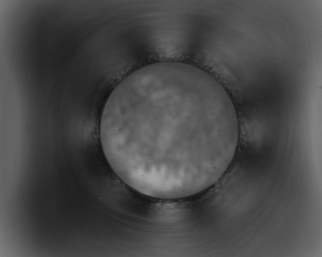 X0000100320419200806191007