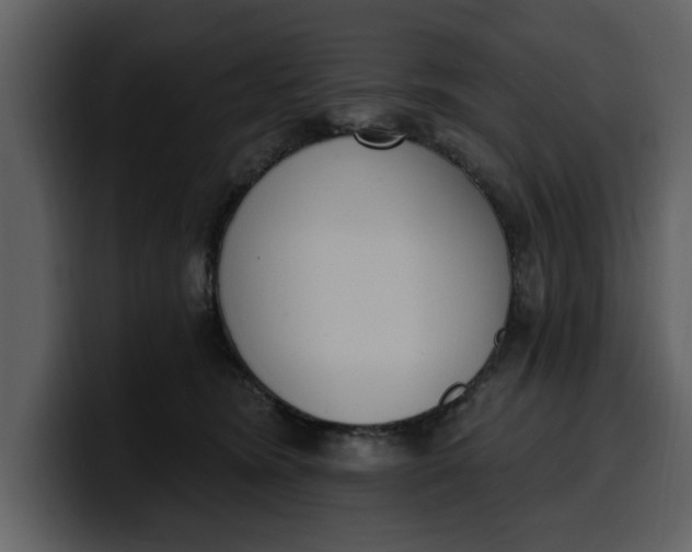 X0000100320420200806191007