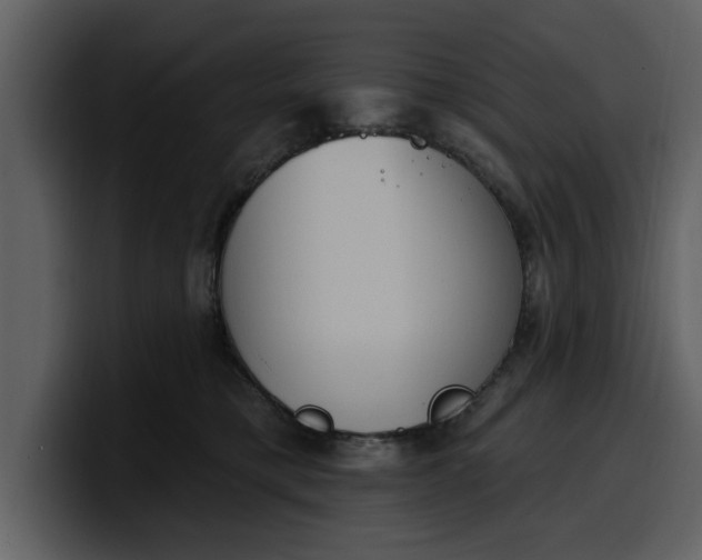 X0000100320421200806191007