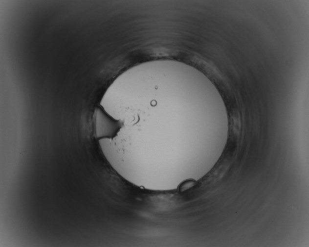 X0000100320422200806191007