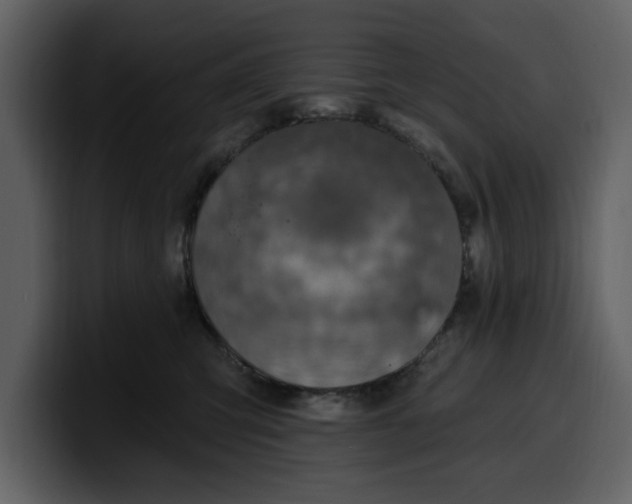 X0000100320423200806191007