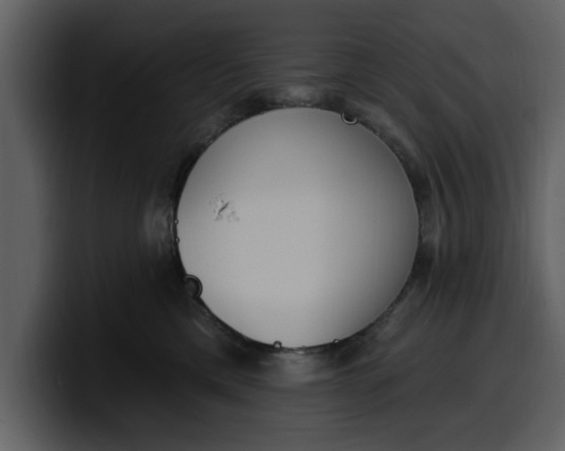 X0000100320425200806191007