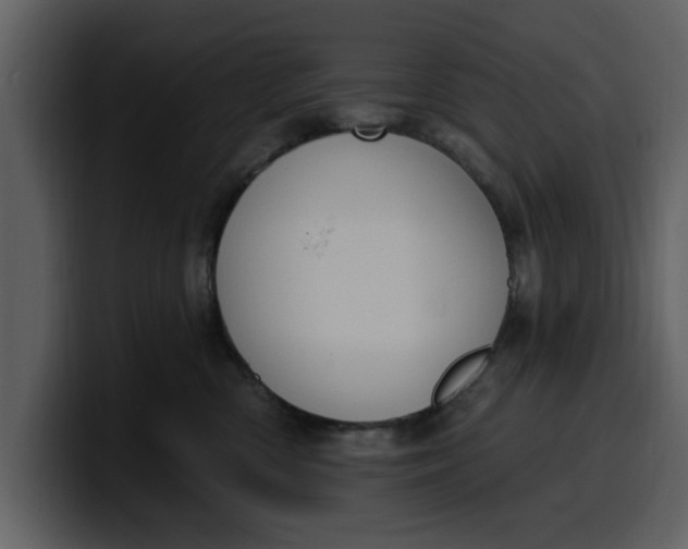 X0000100320426200806191007