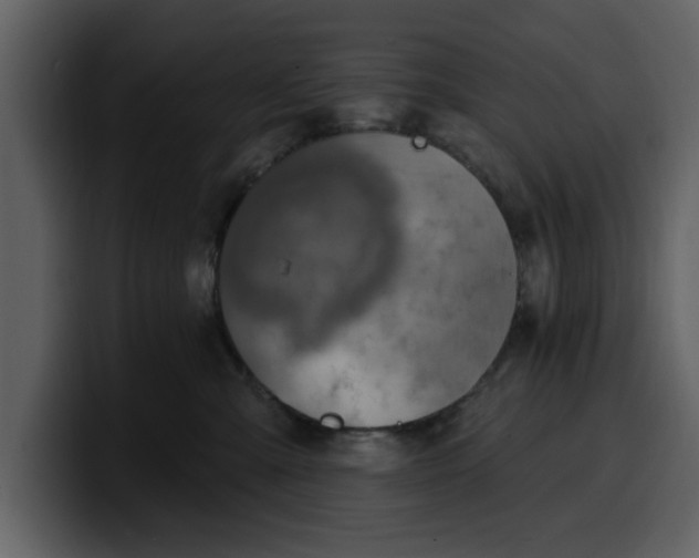 X0000100320427200806191007