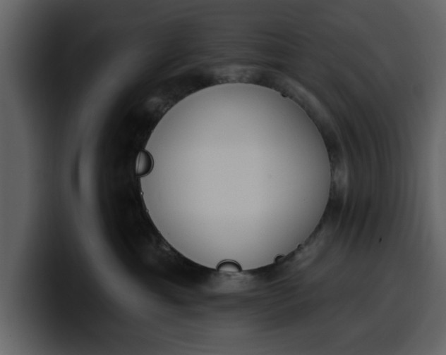 X0000100320429200806191007