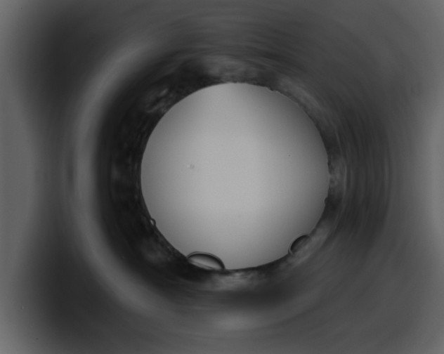 X0000100320430200806191007