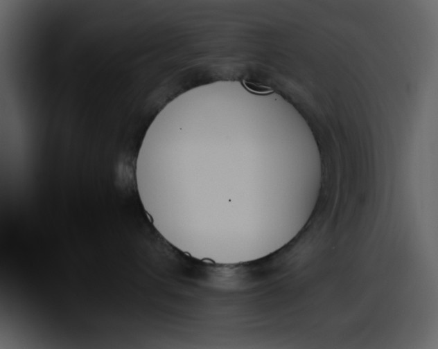 X0000100320432200806191007