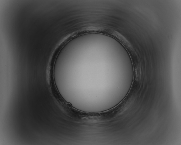 X0000100320436200806191006