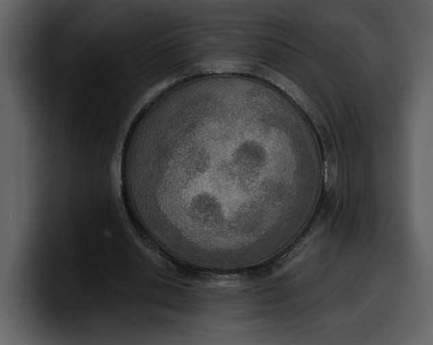 X0000100320438200806191006