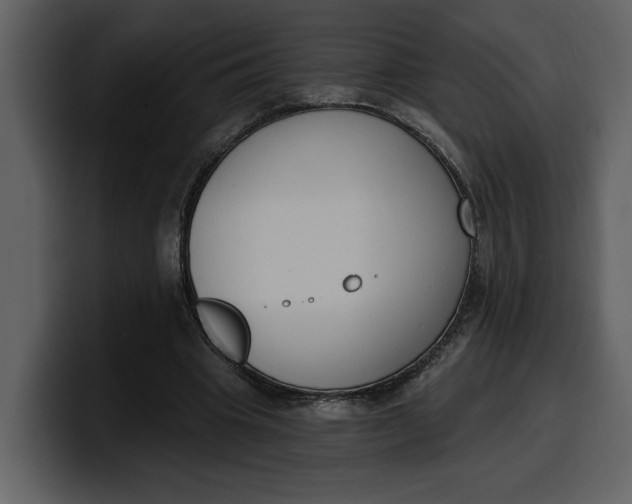 X0000100320441200806191006