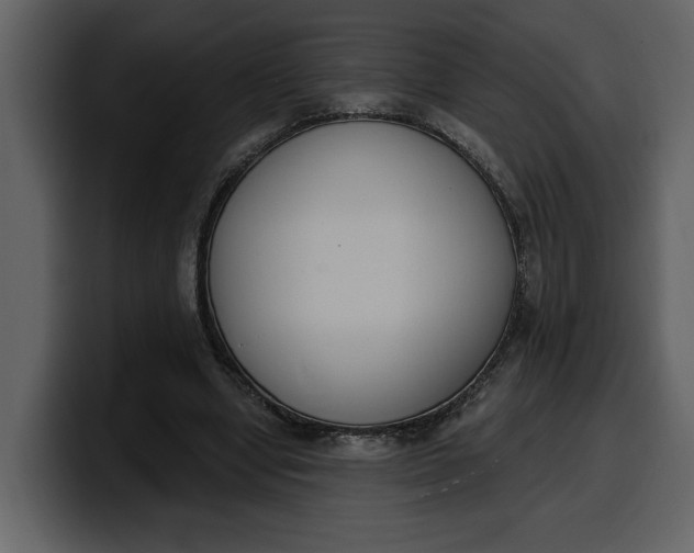 X0000100320442200806191006