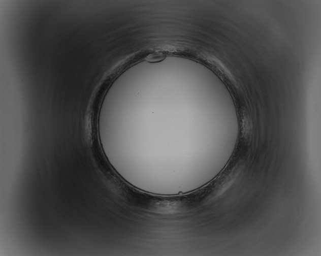 X0000100320444200806191006