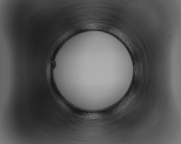 X0000100320445200806191006