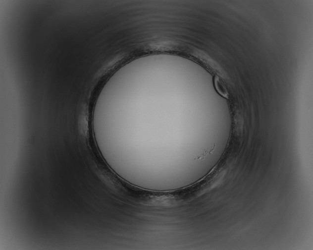 X0000100320446200806191006