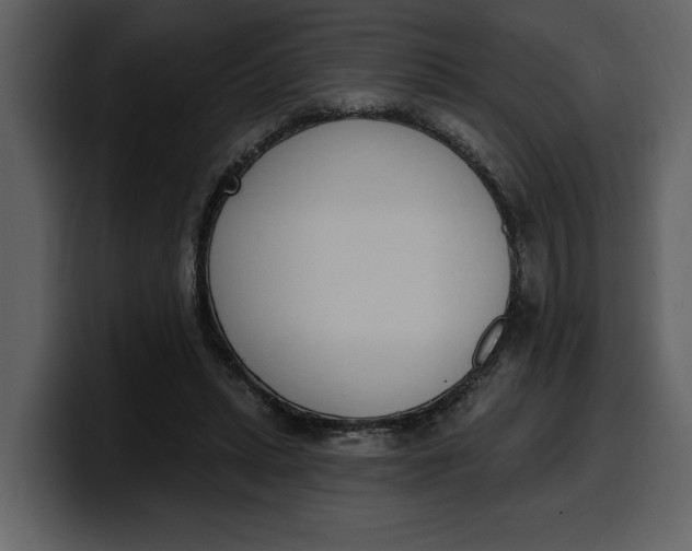 X0000100320447200806191006