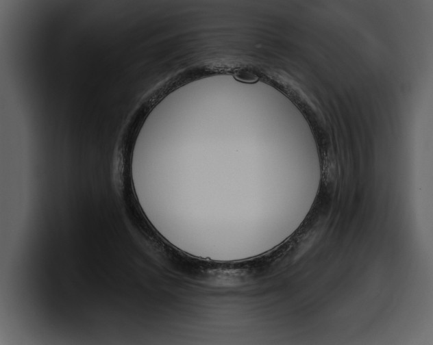 X0000100320448200806191006