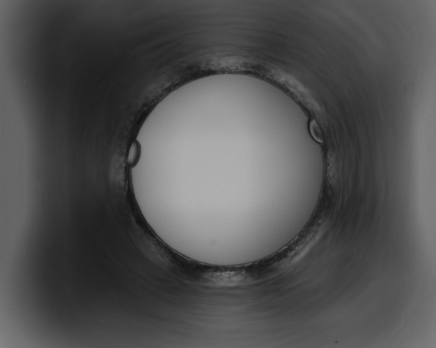 X0000100320449200806191006