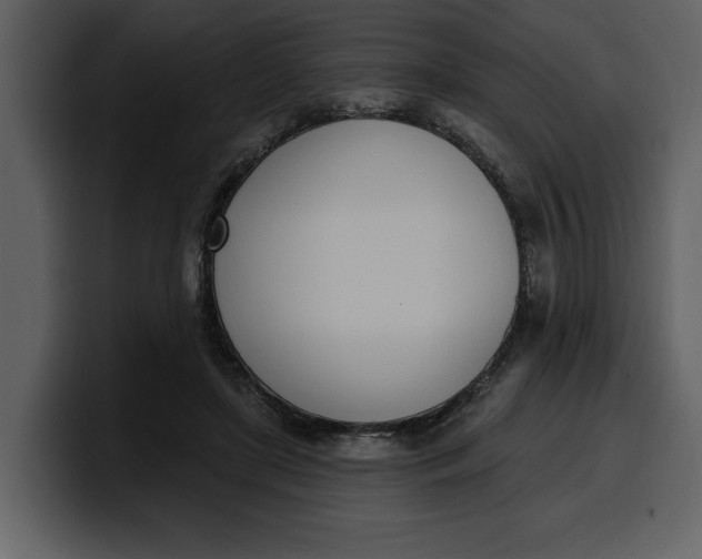 X0000100320451200806191006