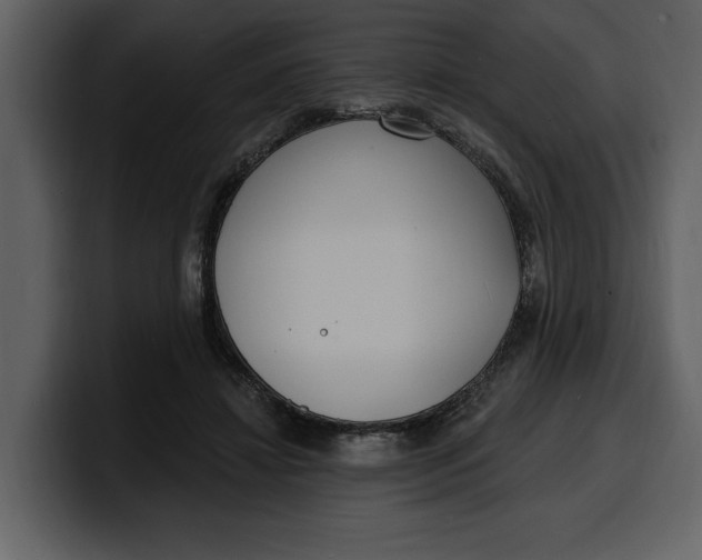 X0000100320452200806191006