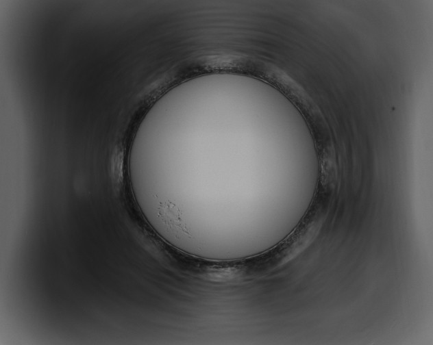 X0000100320454200806191007