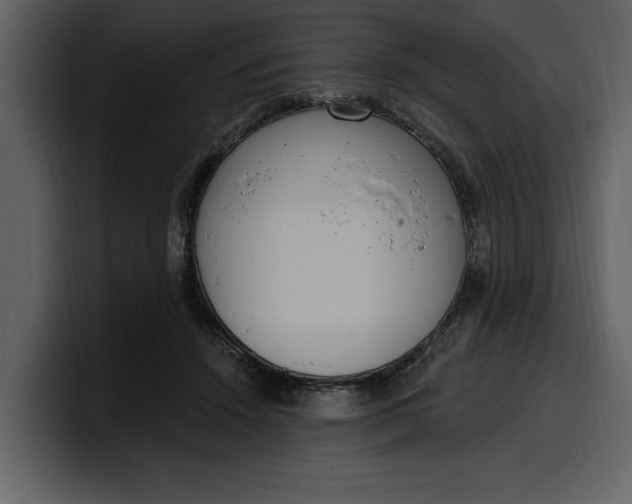 X0000100320456200806191007