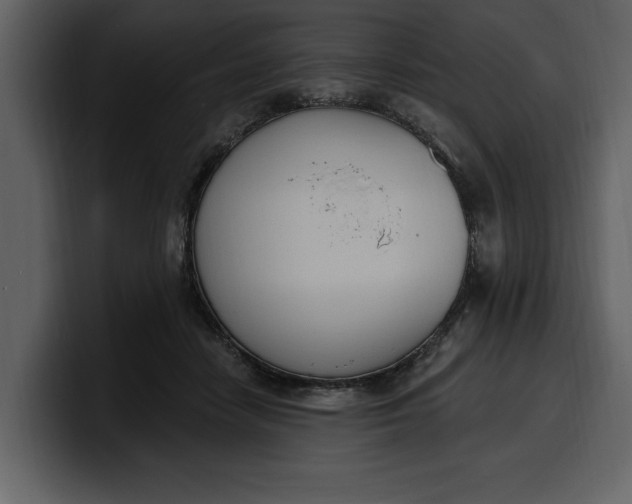 X0000100320458200806191007