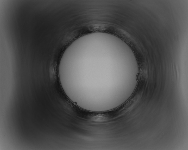 X0000100320460200806191007