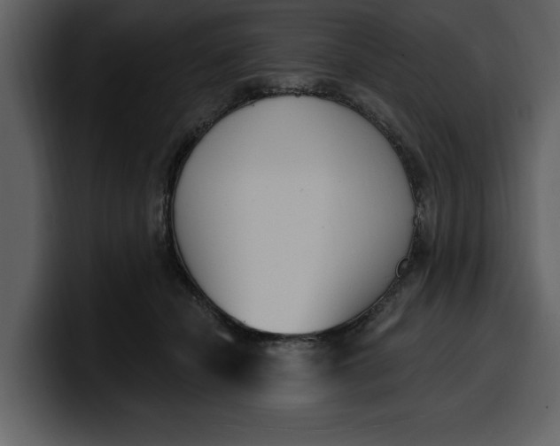 X0000100320462200806191007