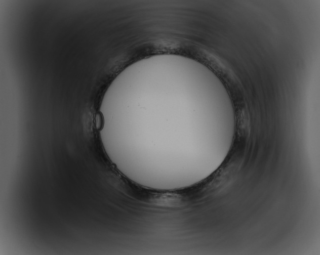 X0000100320463200806191007