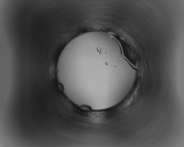 X0000100320465200806191007