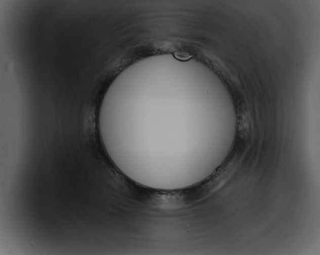 X0000100320466200806191007