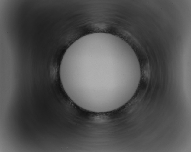 X0000100320468200806191007