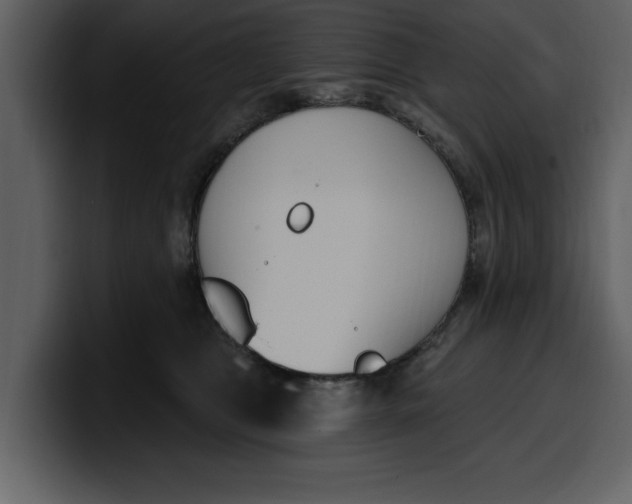 X0000100320469200806191007