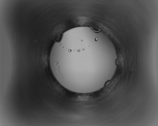 X0000100320470200806191007