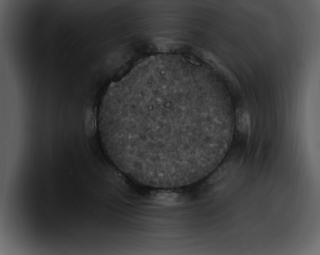 X0000100320471200806191007