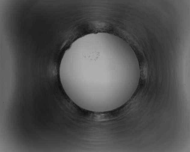 X0000100320472200806191007