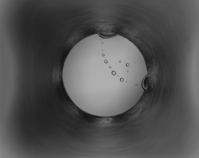 X0000100320474200806191007