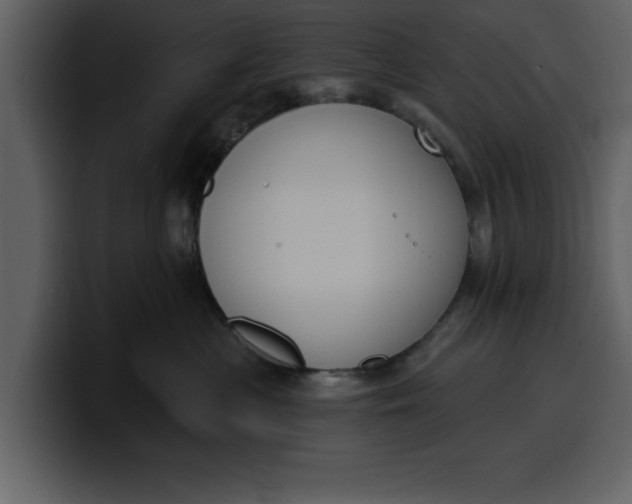 X0000100320477200806191007